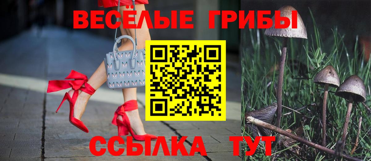 Псилоцибиновые грибы Psilocybine cubensis  Вход с VPN  цены   Шуя 